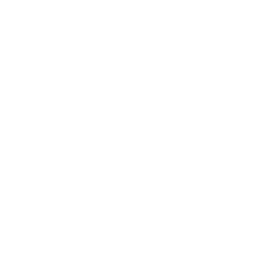 password Icon